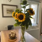 De La Bonne Etoile Gæstehus Geispolsheim