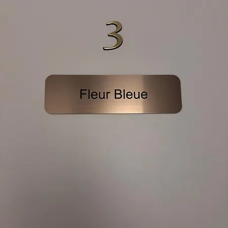 De La Bonne Etoile 3* جيسبولشا