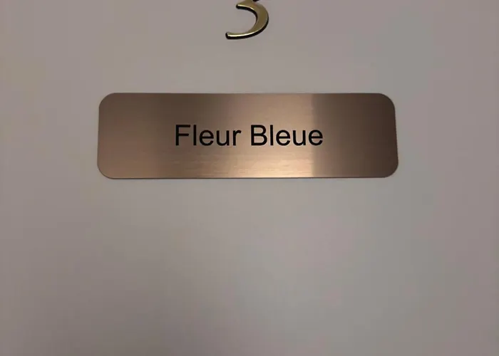 De La Bonne Etoile 3* 가이스폴쉐임